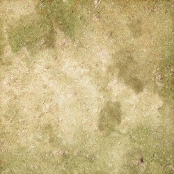 Tierra de cultivo clara XL
