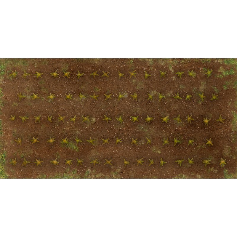Cultivo Europa M