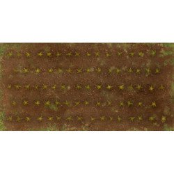 Cropfield Europe M (x3)