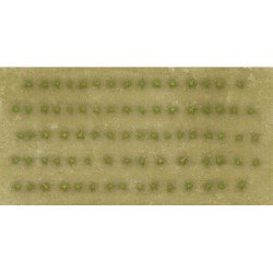 Cropfield Desert M (x3)